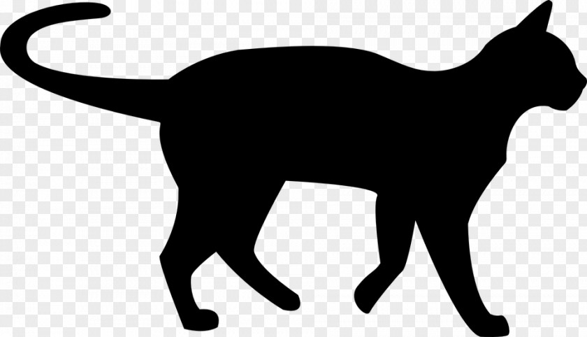 Kitten Persian Cat Black Clip Art PNG