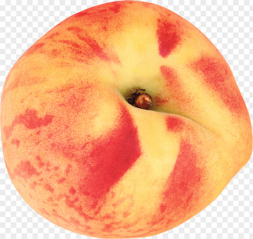 Peach Image Nectarine Icon PNG
