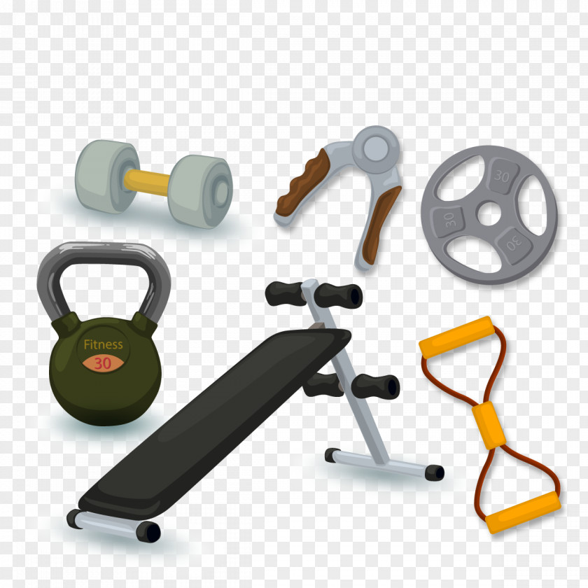 Vector Sports Equipment Bodybuilding Cartoon PNG