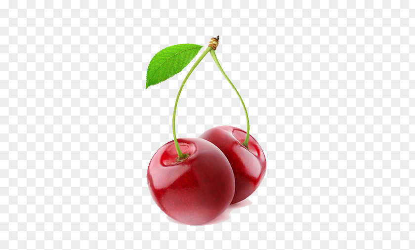 Cherry Sour Fruit Berry PNG