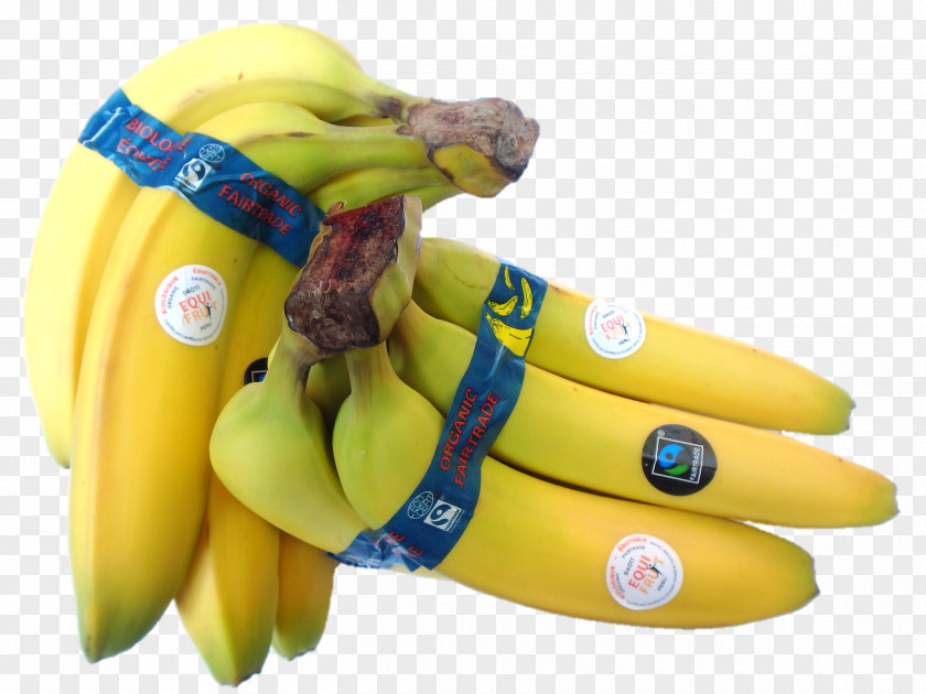 Double Eleven Discount Banana Equifruit, Inc. Fairtrade Certification Fair Trade PNG