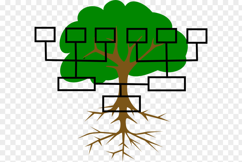Family Tree Genealogy Extended Clip Art PNG