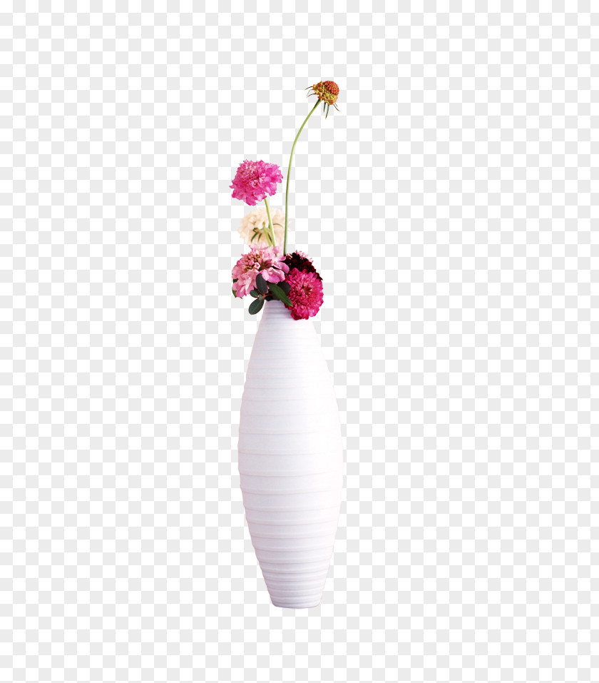 Flower Vase Arrangement Flowers PNG