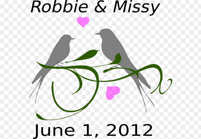 Love Birds Lovebird Wedding Invitation Clip Art PNG