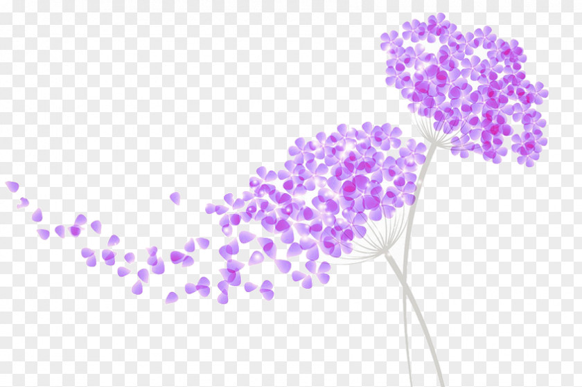 Purple Flowers We Named Her Faith Amazon.com Religion Love Book PNG