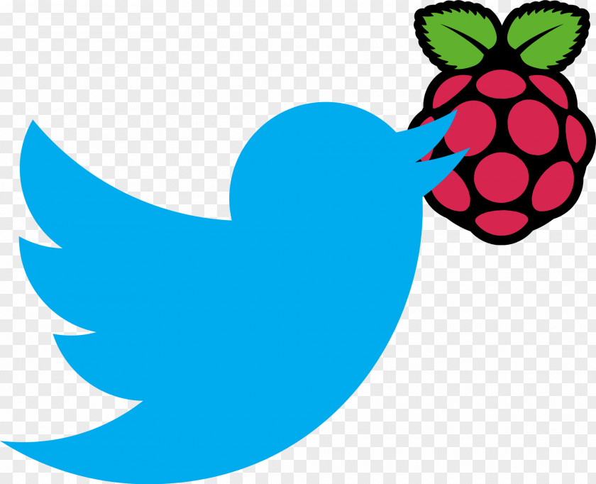 Raspberries Raspberry Pi Foundation Computer Software Kodi PNG