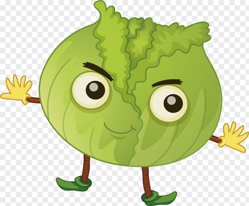 Vector Cabbage Fruit Clip Art PNG