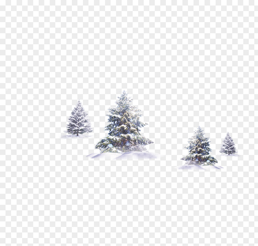 Winter Trees Tree Snow PNG
