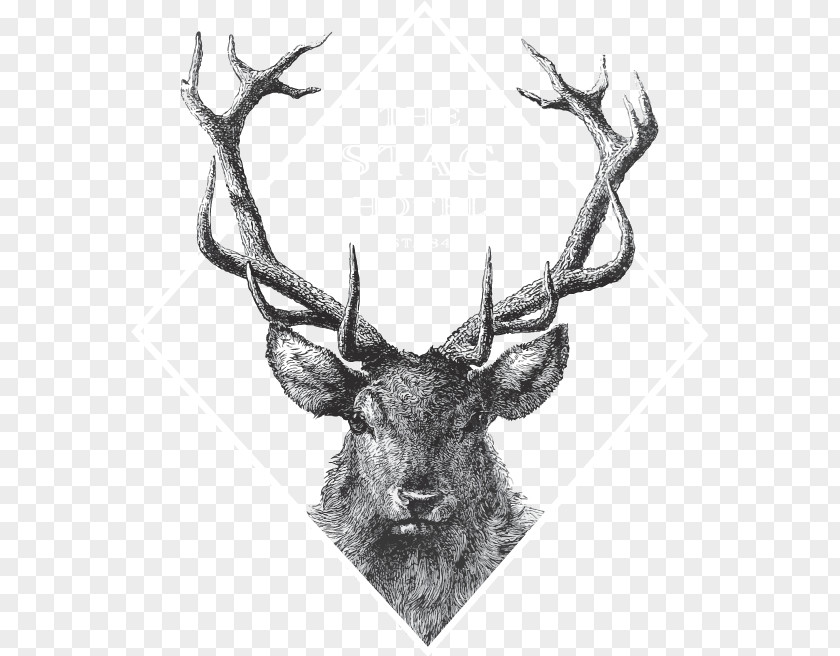 Deer Red Drawing Image Vector Graphics PNG