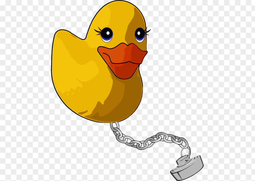 DUCK Donald Duck Mallard Clip Art PNG