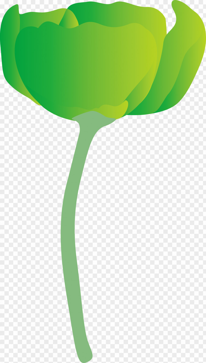 Green Leaf Plant Stem Tulip PNG