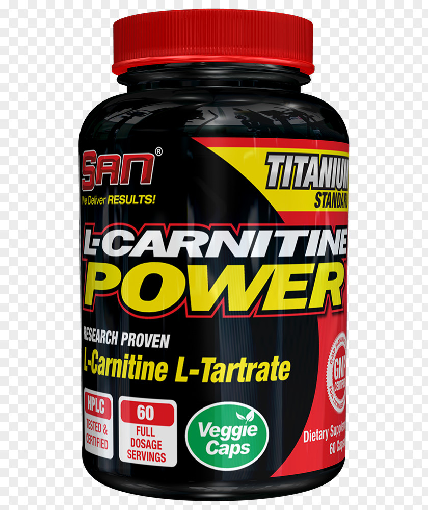 Health Dietary Supplement Levocarnitine Acetylcarnitine Sports Nutrition PNG