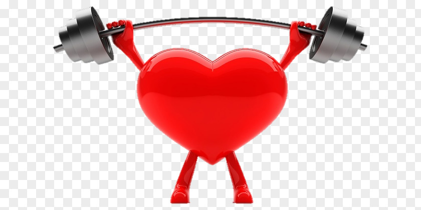 Heart Weight Training Cardiovascular Disease Exercise PNG