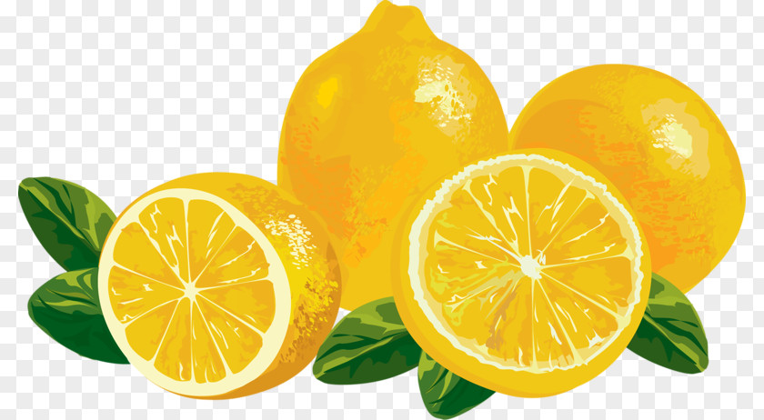 Lemonade Clip Art PNG