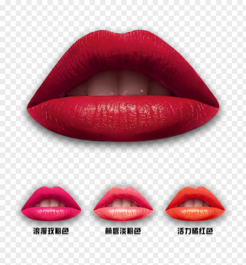 Lips Lipstick Lip Gloss Euclidean Vector PNG
