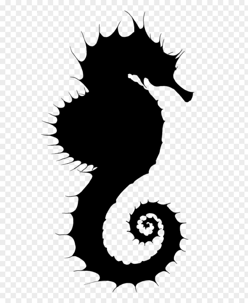 M Character Clip Art Silhouette Seahorse Black & White PNG