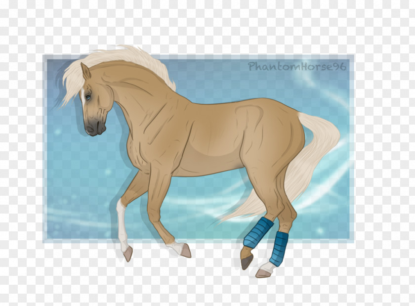 Mustang Stallion Mare Halter Rein PNG