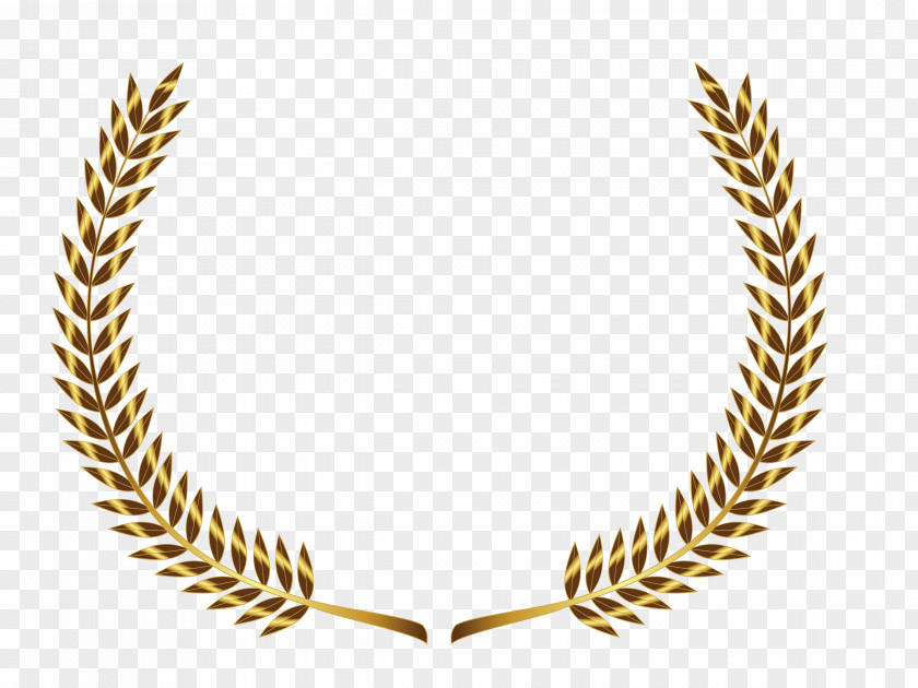 Gold Leaf Laurel Wreath Bay Clip Art PNG