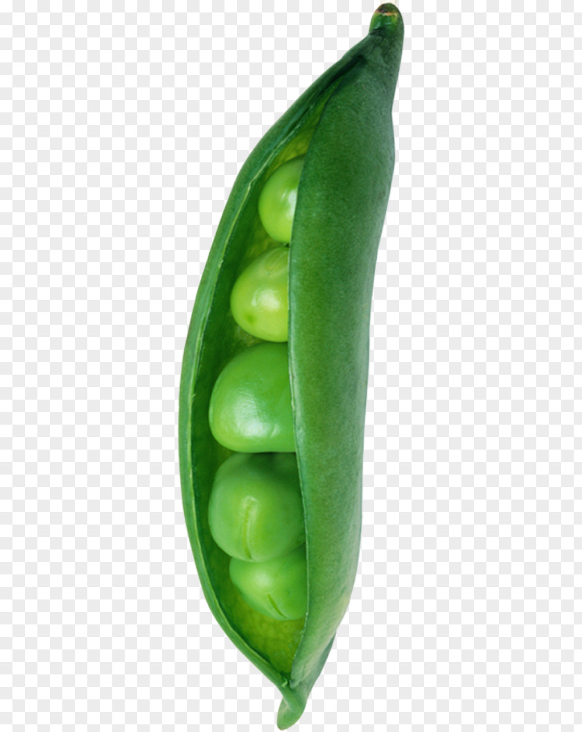Green Peas Snow Pea Broad Bean PNG