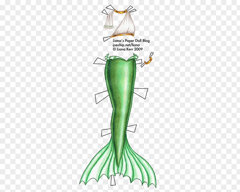 Mermaid Tail Green Drawing Paper PNG