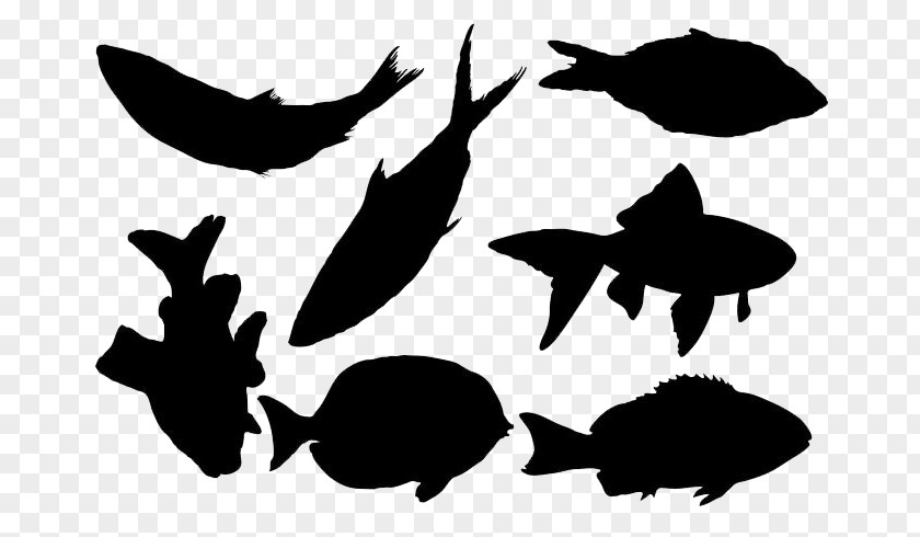 Silhouette Fish Clip Art PNG