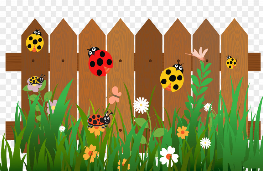 The Seven-star Ladybug On Fence Cartoon Ladybird PNG