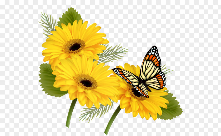 YELLOW Butterfly Flower Clip Art PNG