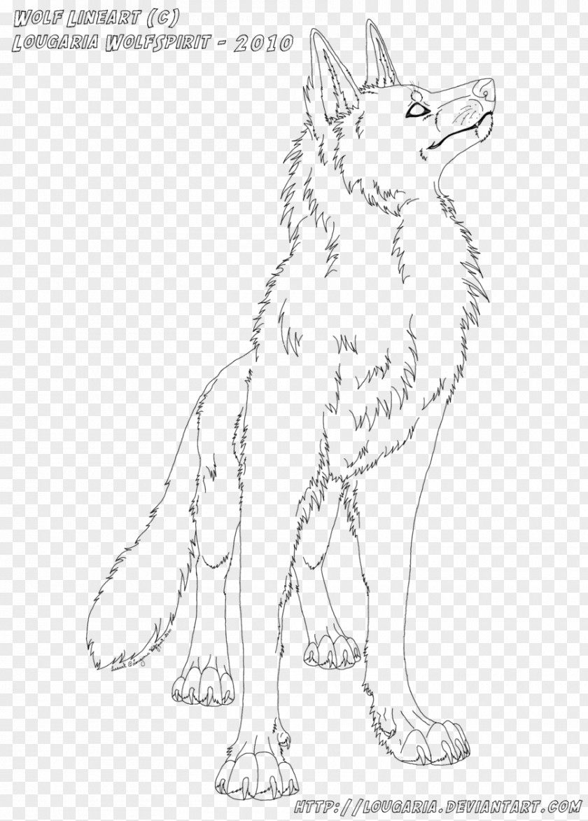 Arctic Wolf Line Art Drawing Red Fox Sketch PNG