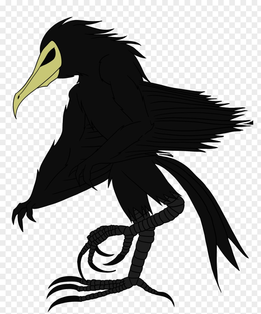 Bird Of Prey Fauna Beak Illustration PNG