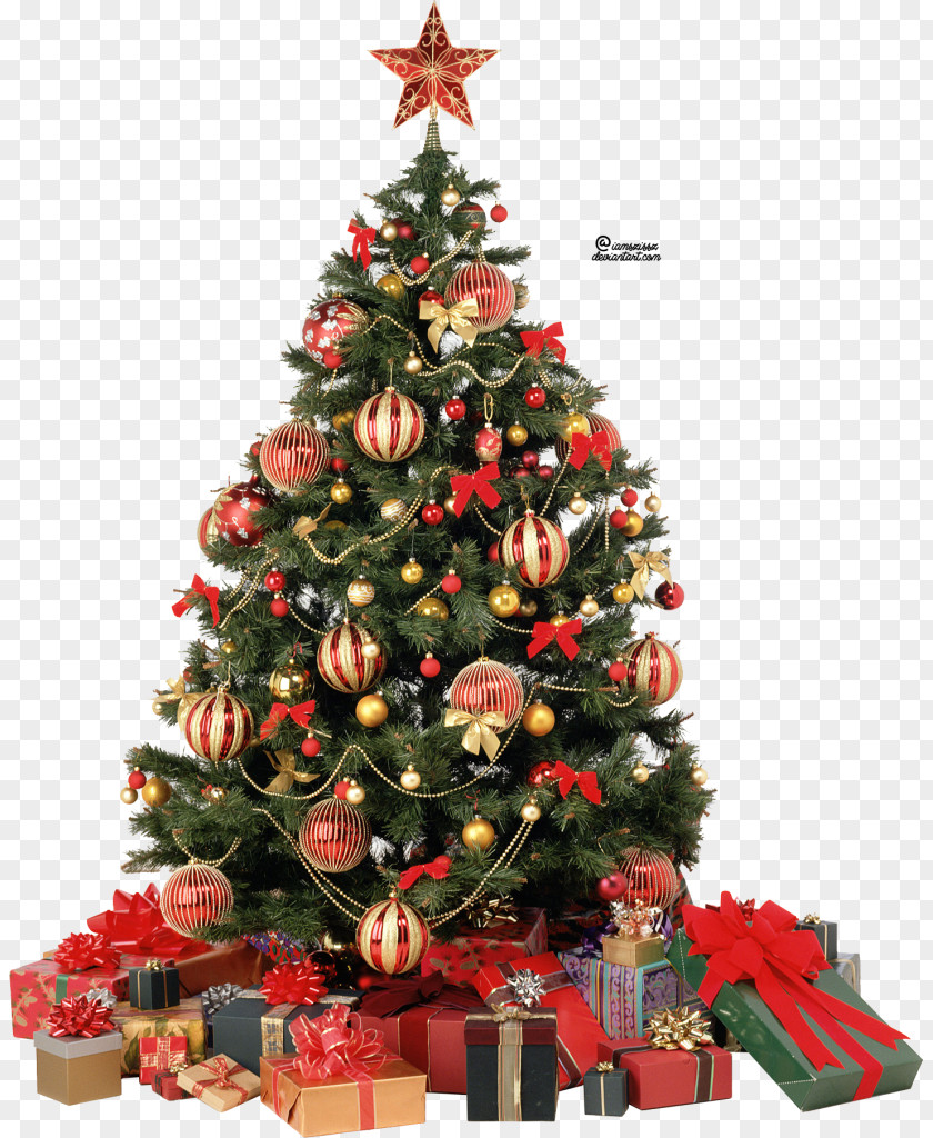 Christmas Tree Clip Art PNG