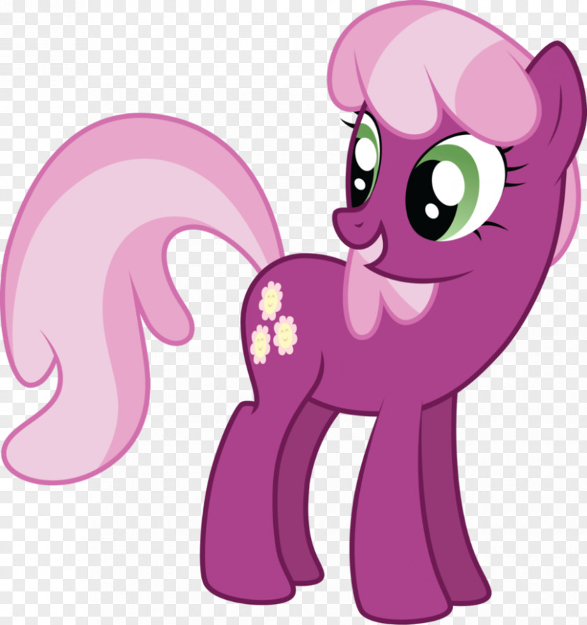 My Little Pony Cheerilee Rarity Pinkie Pie PNG