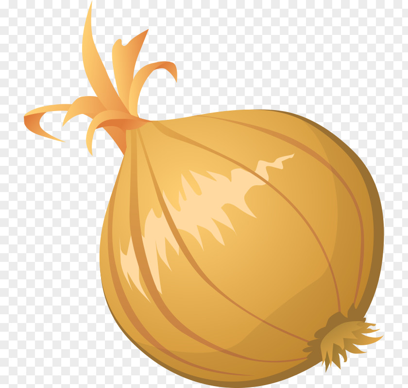 Onions Cliparts Free Content Blooming Onion Clip Art PNG