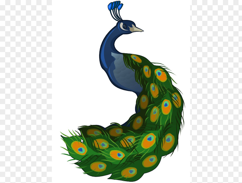 Peacock Cliparts T-shirt Peafowl Cartoon Clip Art PNG