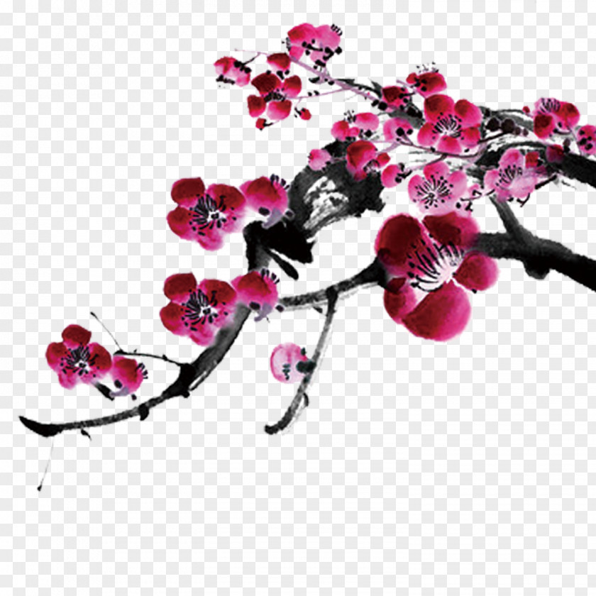 Plum Stock Image Table Blossom PNG