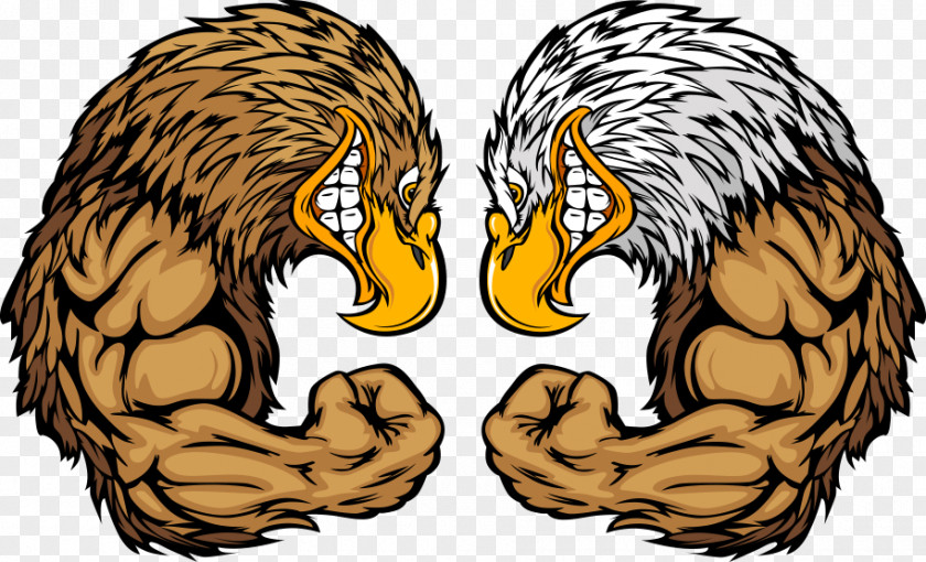 Vector Eagle Muscle Bald Golden Cartoon PNG