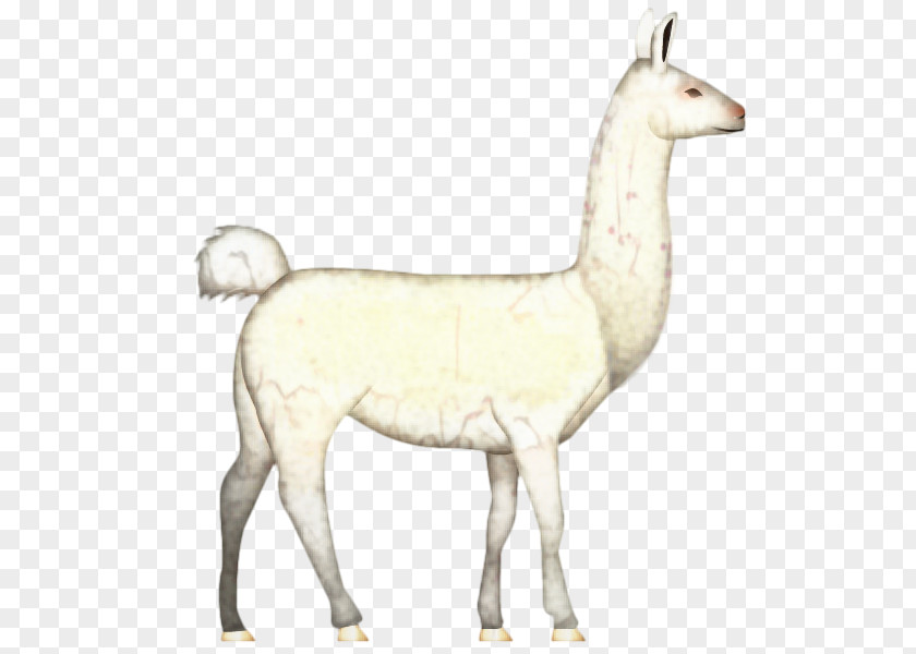 Animal Figure Tail Llama Cartoon PNG