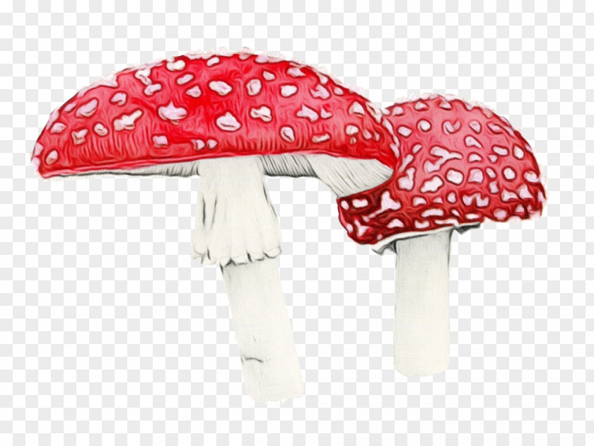 Red Mushroom Pink Agaric Umbrella PNG