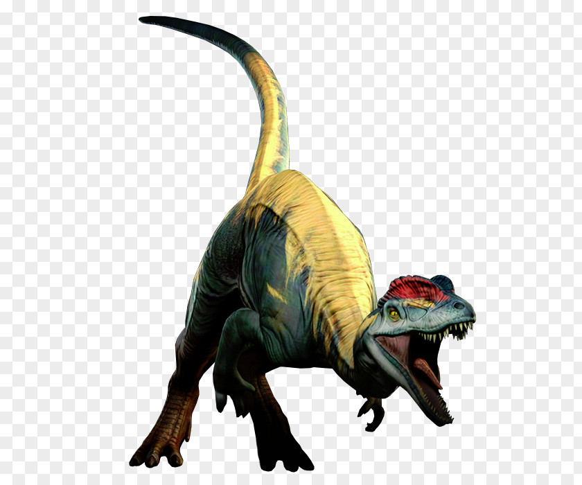 Tyrannosaurus Velociraptor Terrestrial Animal PNG