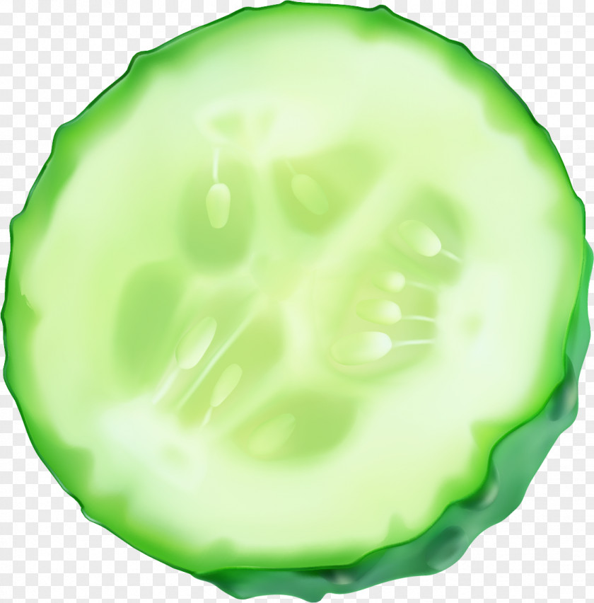 Vector Painted Cucumber Slices Slicing PNG