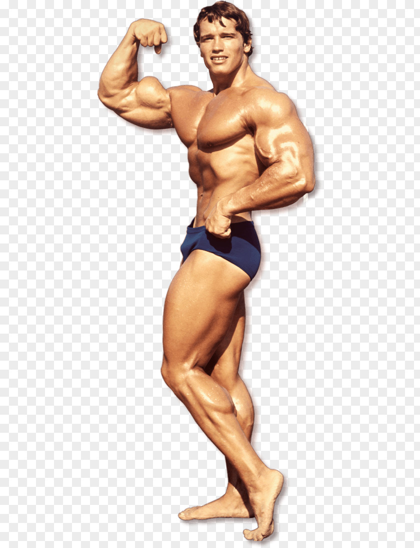 Arnold Schwarzenegger Mr. Olympia Education Of A Bodybuilder Bodybuilding Sports Festival PNG