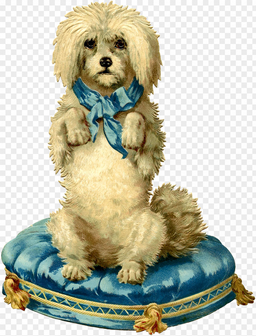 Poodle France Dog Greeting & Note Cards English PNG