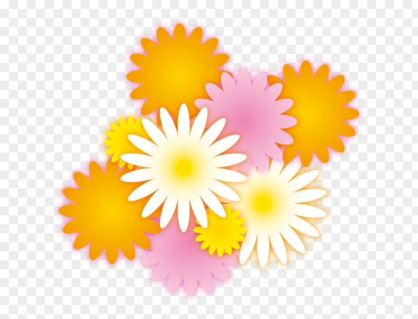 Recruit Drawing Common Daisy Clip Art PNG