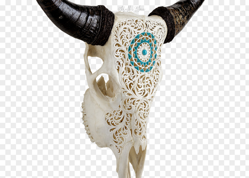 Skull Horn Animal Skulls Bison Cattle PNG