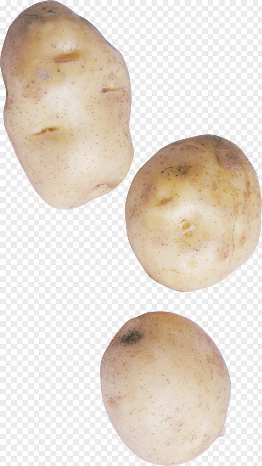 Vegetable Russet Burbank Potato Yukon Gold Tuber Root Vegetables PNG