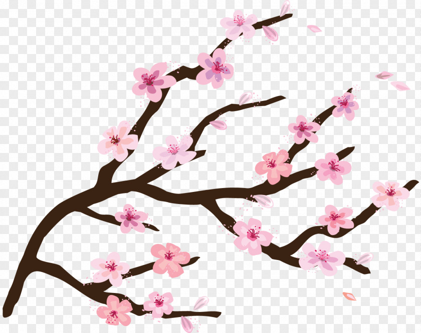 BLOSSOM Camden National Cherry Blossom Festival PNG