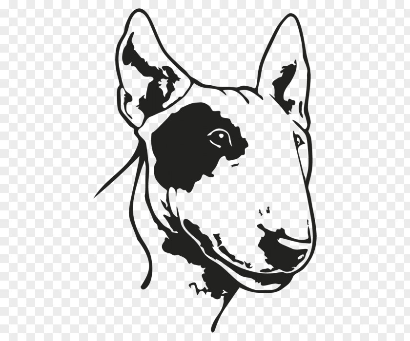 Bull Terrier Dog Breed American Staffordshire Non-sporting Group Cat PNG