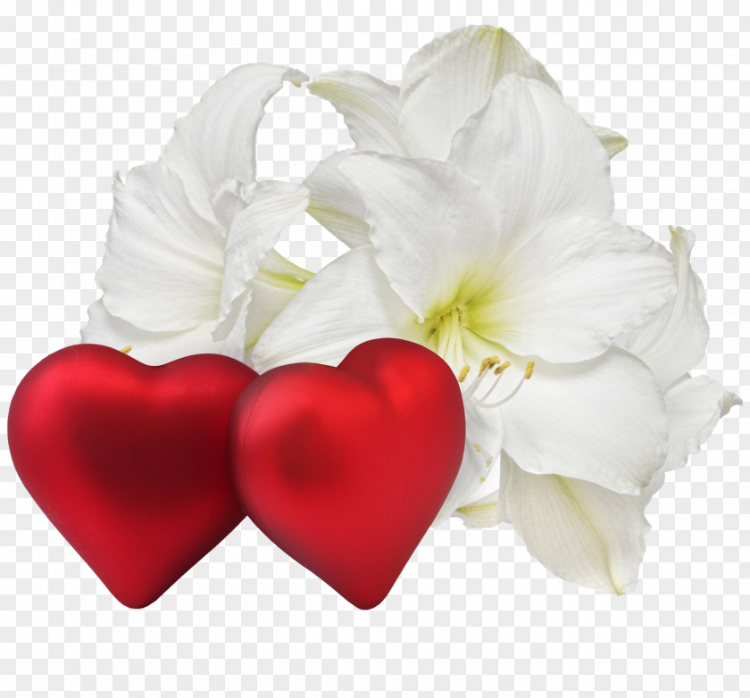 Happy Valentines Day Love Romance Flower Heart Clip Art PNG