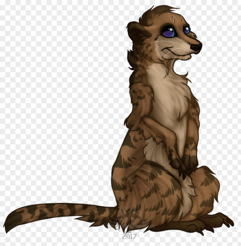 Raccoon Meerkat Beaver YouTube Canidae PNG