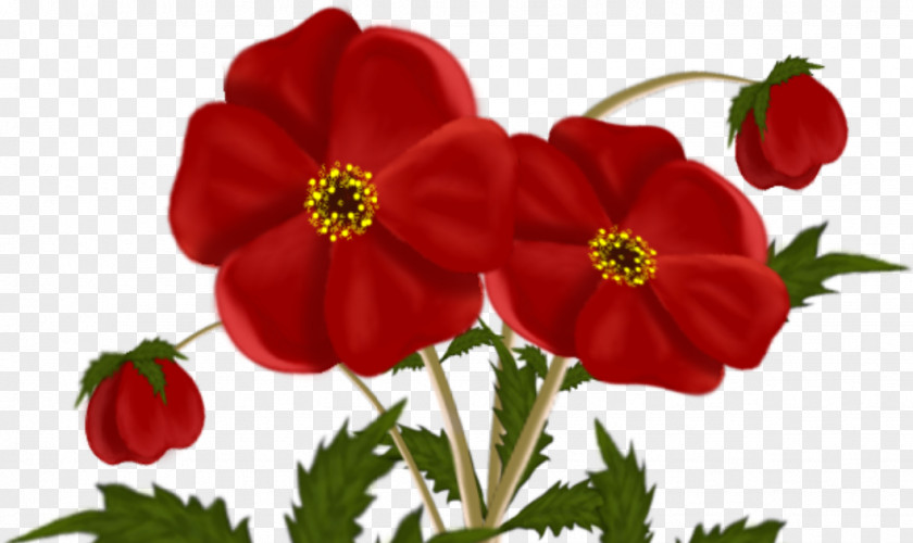 Red Flower Tulip Clip Art PNG