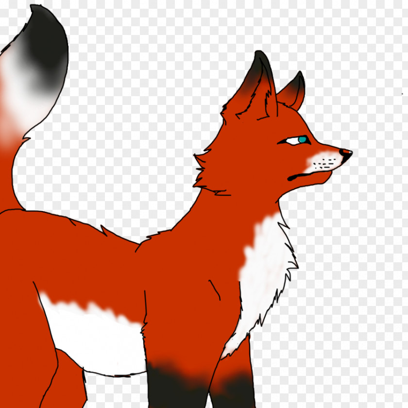 Red Fox Dog Canidae Whiskers PNG